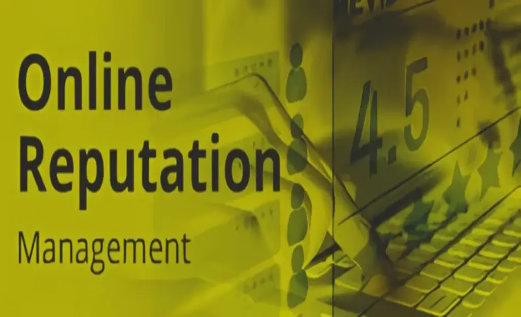 Online reputation management